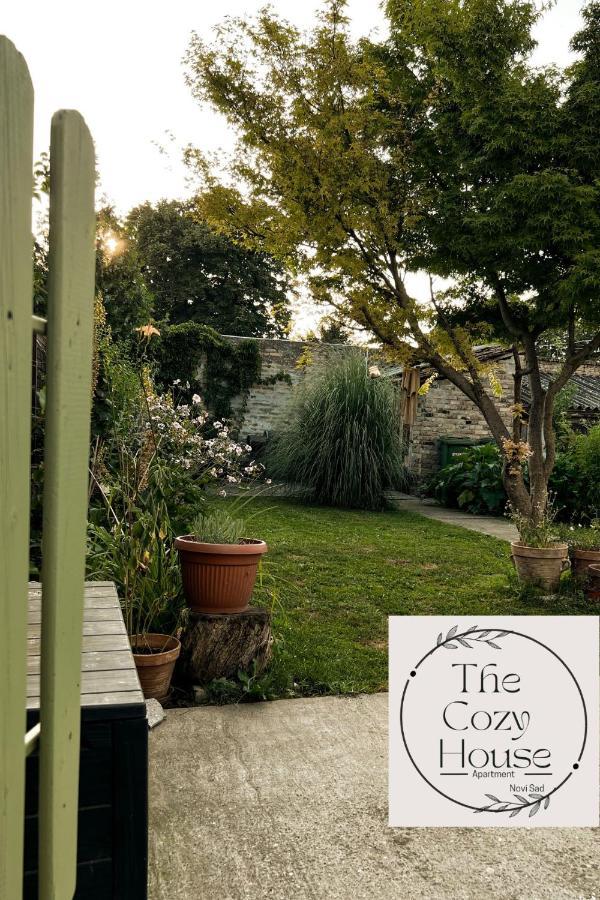 Thecozyhouse